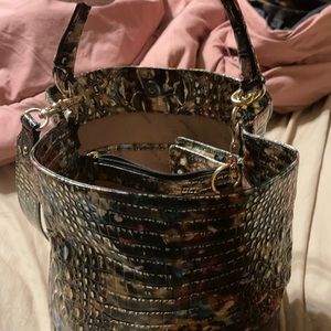 Brahmin retro Amelia